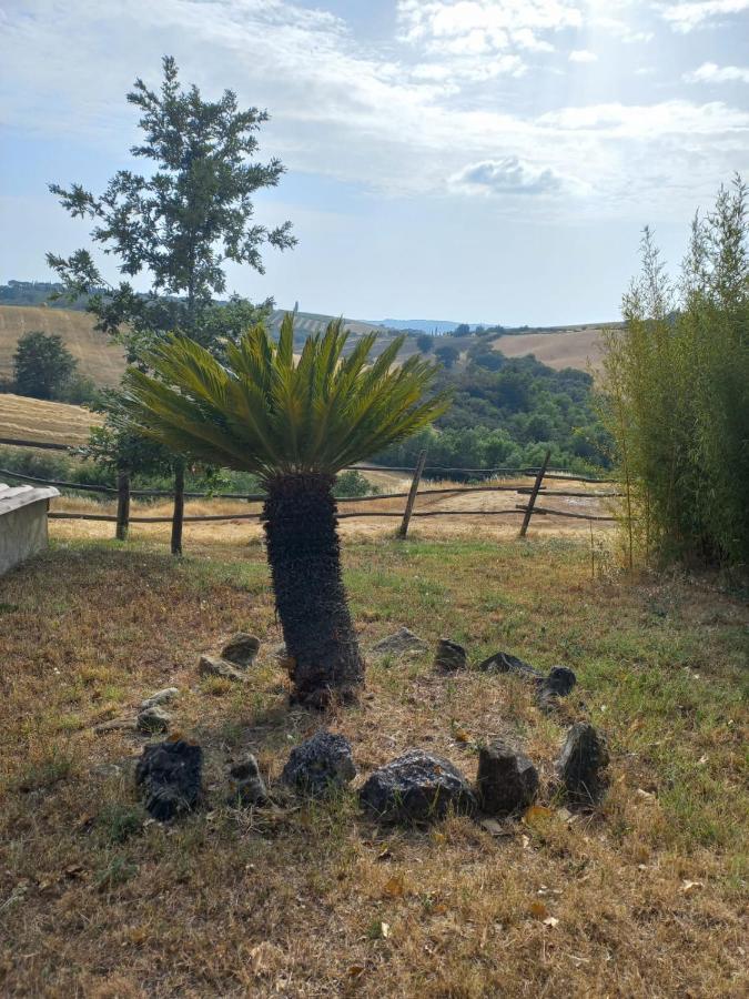 Agriturismo Podere Cherzo Cinigiano المظهر الخارجي الصورة