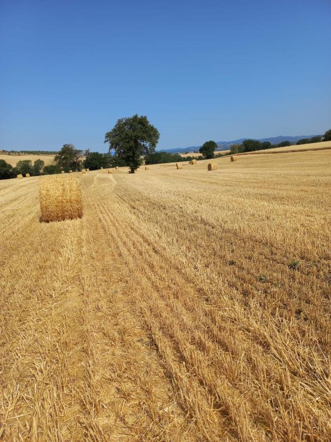 Agriturismo Podere Cherzo Cinigiano المظهر الخارجي الصورة