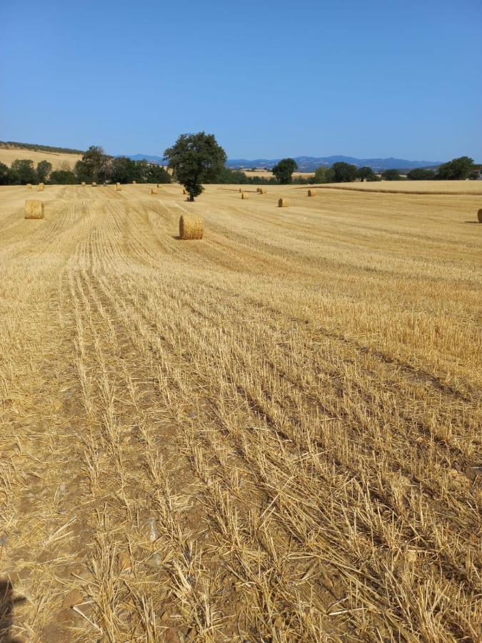 Agriturismo Podere Cherzo Cinigiano المظهر الخارجي الصورة